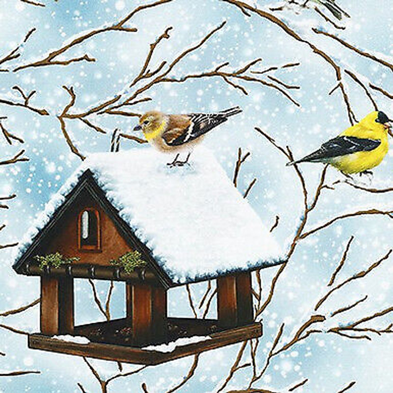 Winter Visitors- Chickadees Cotton Fabric by Robert Kaufman Sold by the Yard