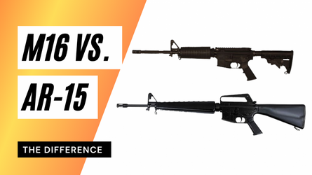 The Differences Between The M16 And The AR-15?