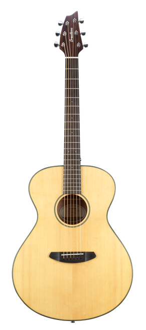 Breedlove Discovery Concert