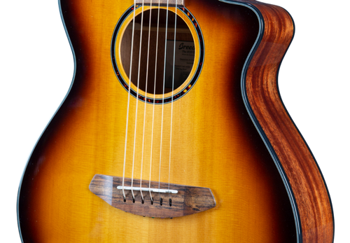 DISCOVERY S COMPANION EDGEBURST CE