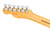 AMERICAN PROFESSIONAL II TELECASTER®