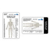 Skeletal Bones of Body Badge Card