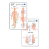 Anatomical Directions Badge Card