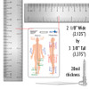Anatomical Directions Badge Card