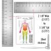 Dermatome Diagram Badge Card