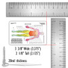 Dermatome Diagram Badge Card