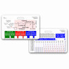 ECG Ruler & Diagram Badge Card