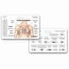 Heart Sounds Badge Card