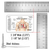 Heart Sounds Badge Card