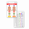 Lund and Browder Chart Badge Card