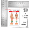 Lund and Browder Chart Badge Card