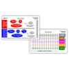 Medication Math & Drip Titration Badge Card