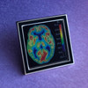 PET Scan Lenticular Pin