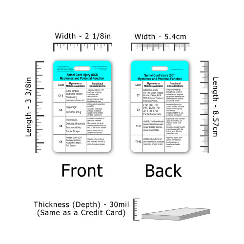 SCI C1-T12 Myotomes & Functional Considerations Badge Card