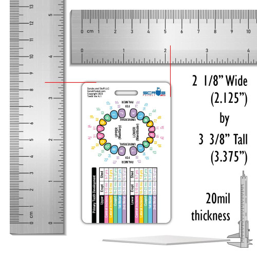 Dental Numbering Badge Card