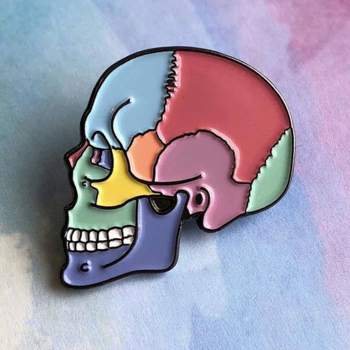 3D Textbook Anatomy Skull Pin