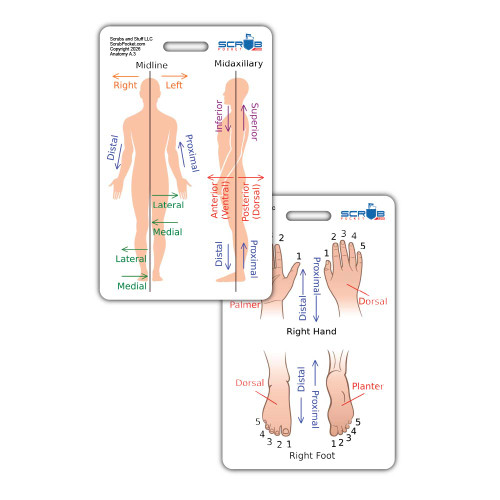 Anatomical Directions Badge Card