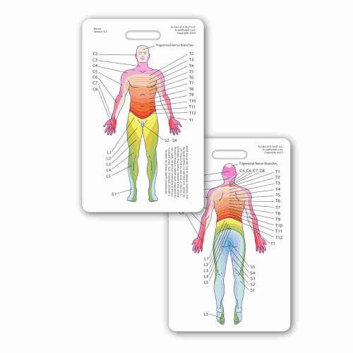 Dermatome Diagram Badge Card