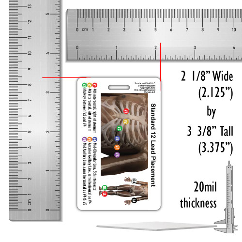 EKG 12 Lead Placement Badge Card