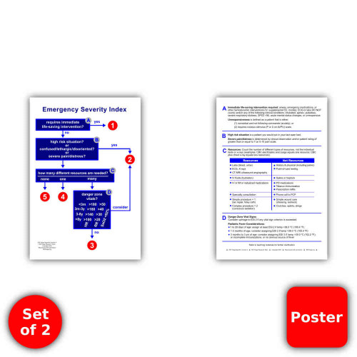 ESI Poster 13" by 19" - Set of 2