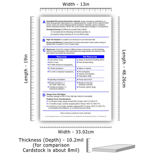 ESI Poster 13" by 19" - Set of 2