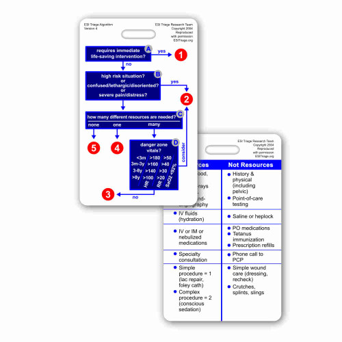 ESI Badge Cards Set - 2 Cards