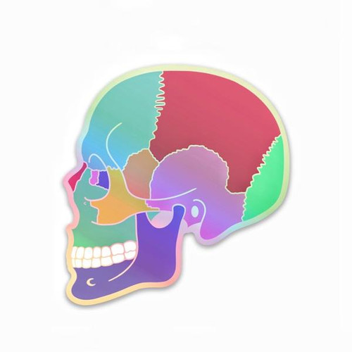 Holographic Textbook Anatomy Skull Decal