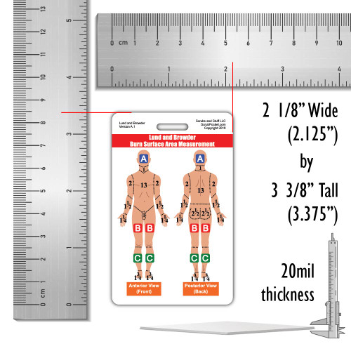 Lund and Browder Chart Badge Card
