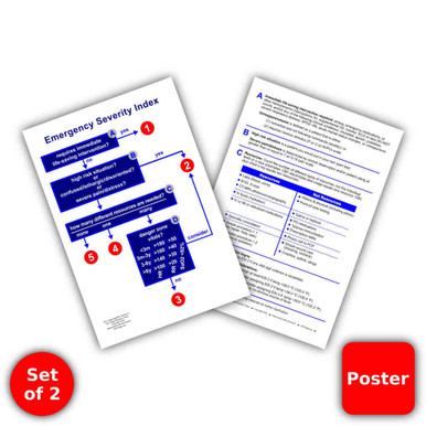 ESI Poster 13" by 19" - Set of 2 - Scrub Pocket