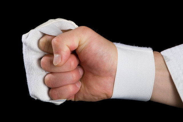 ISKF拳 Fist Protector