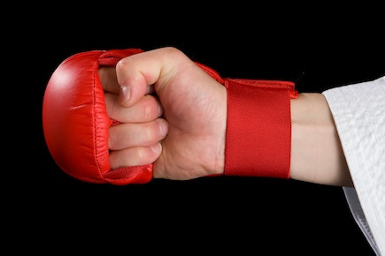 TOKAIDO WKF Fist Protector