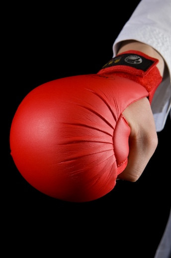 TOKAIDO WKF Fist Protector