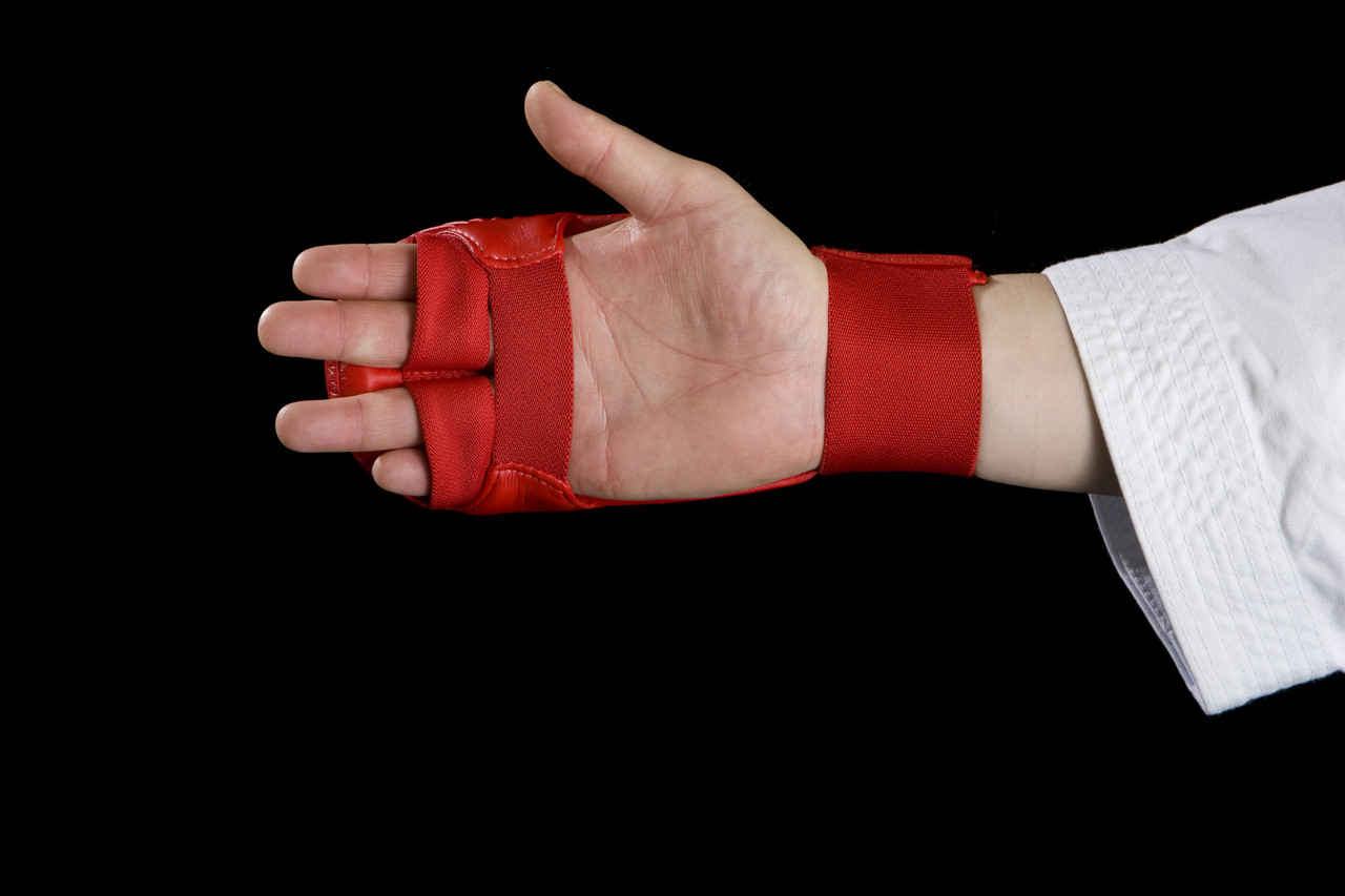 TOKAIDO WKF Fist Protector