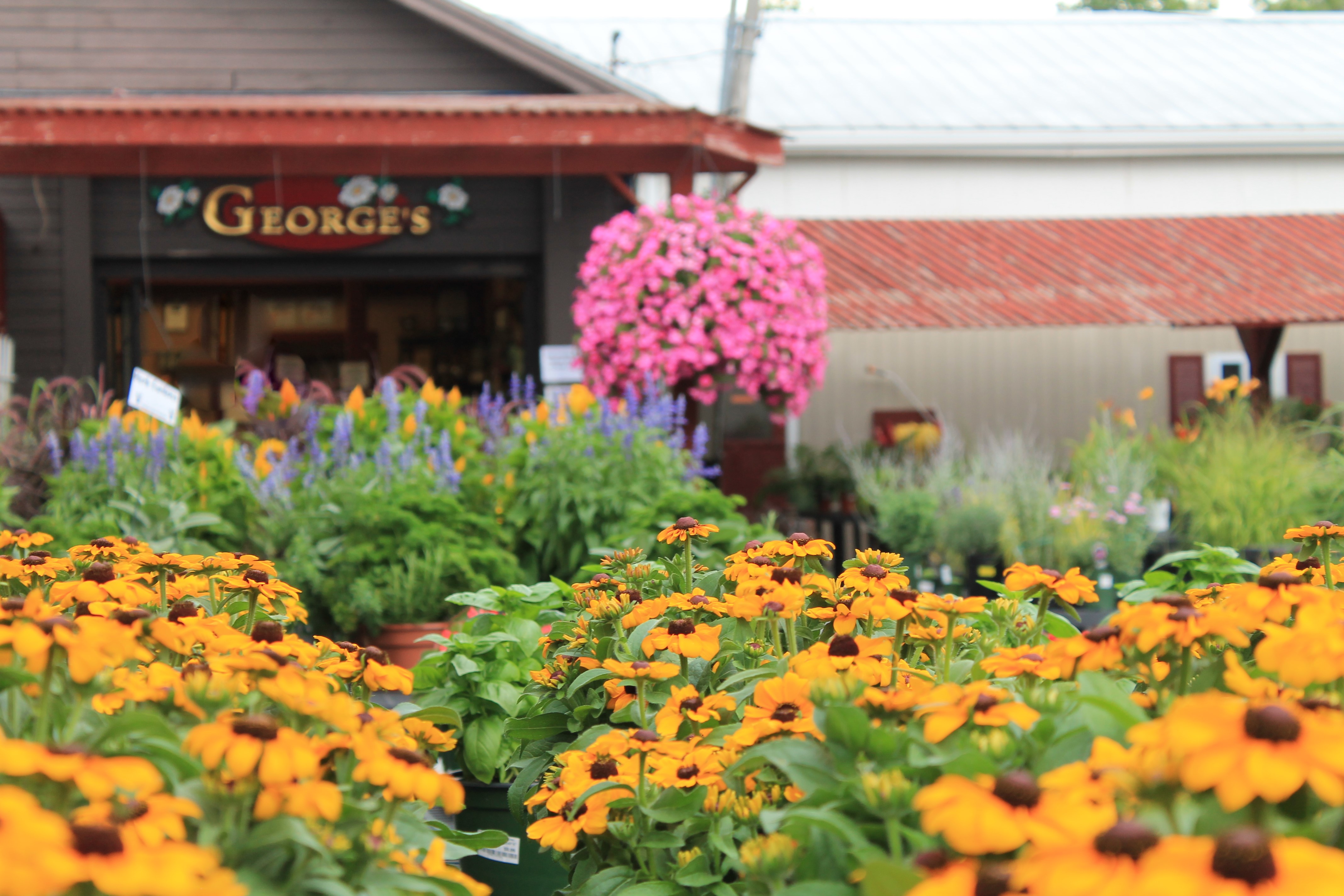 Closed For The Season