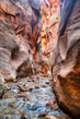 Kanarra Creek Slot Canyon