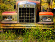 1950's REX Truck - Gold King Mine & Ghost Town