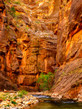 the narrows zion national park #1