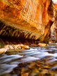 The Narrows 3 - Zion National Park