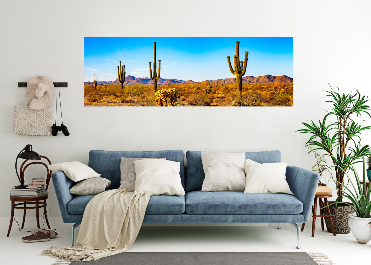 Four Saguaro Cactus Panoramic - Arizona | T&K Images