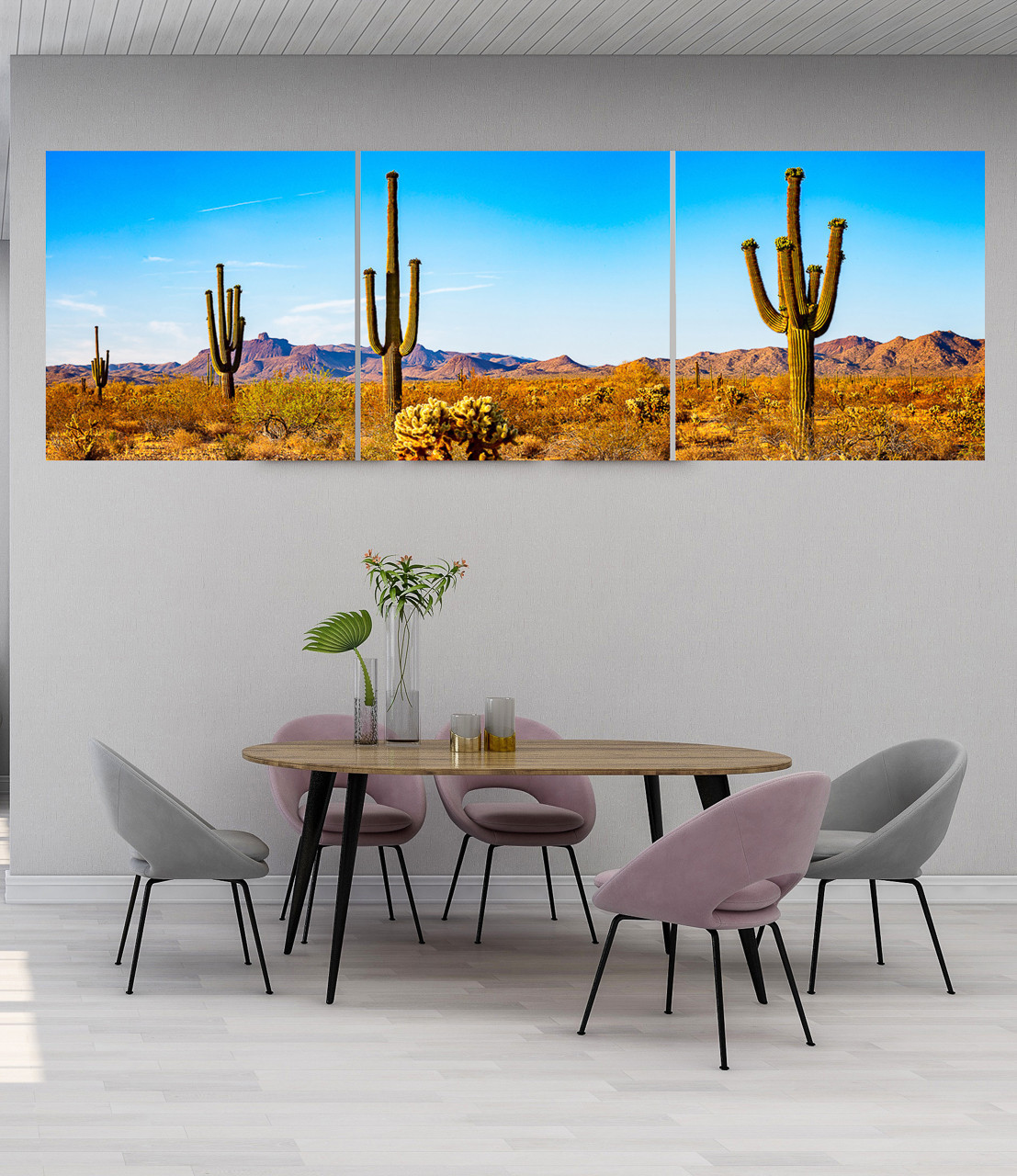 Four Saguaro Cactus Panoramic - Arizona | T&K Images