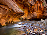 The Narrows Zion National Park