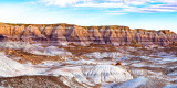 Petrified Forest National Park