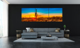 Custom Large Desert Panoramics