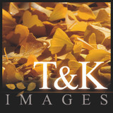 Welcome to the new T&K Images website!