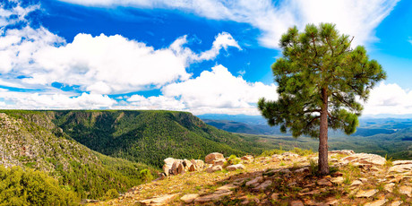 Mogollon Rim During Arizona Monsoon Season