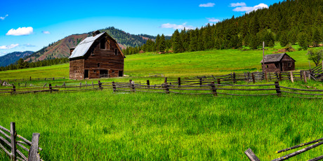 Some Barns of Washington State