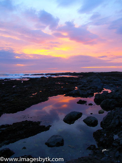 Sunset At Shelter Cove- California