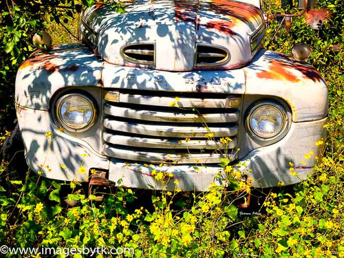 1950 Ford F-100 - Gold King Mine & Ghost Town