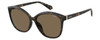 Profile View of Polaroid 4100/F/S Womens Cat Eye Sunglasses Tortoise Havana/Polarized Brown 59mm