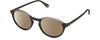 Profile View of Polaroid 6125/S Designer Polarized Sunglasses with Custom Cut Amber Brown Lenses in Gloss Black Grey Crystal Unisex Panthos Full Rim Acetate 50 mm
